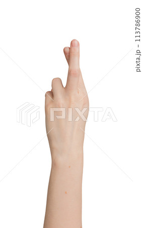 Crossing fingers for luck, hand gesture isolated on white Crossing fingers for luck, hand gesture isolated on white 113786900