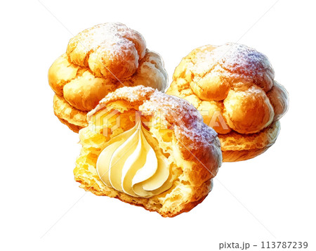 リアルなシュークリームのイラスト 113787239