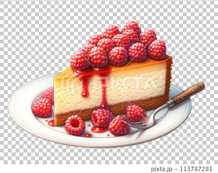 リアルなラズベリーのチーズケーキのイラスト 113787281