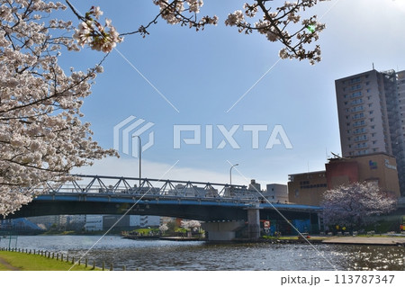 満開の小松川千本桜 東京 満開の小松川千本桜 東京 113787347