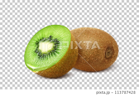 Kiwi fruit illustration realistic 113787428