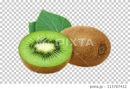 Kiwi fruit illustration realistic Kiwi fruit illustration realistic 113787432