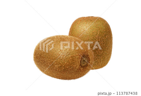 キウイフルーツのイラスト リアル 113787438