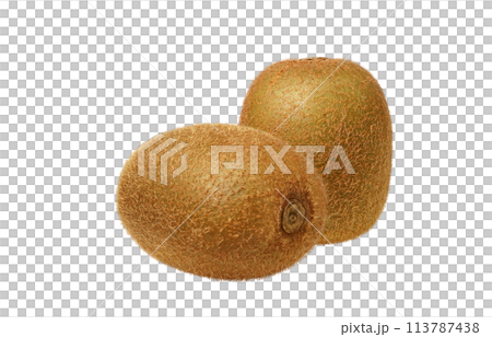 キウイフルーツのイラスト リアル 113787438