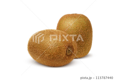 キウイフルーツのイラスト リアル 113787440