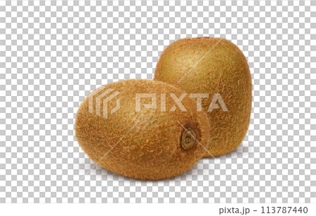 キウイフルーツのイラスト リアル 113787440