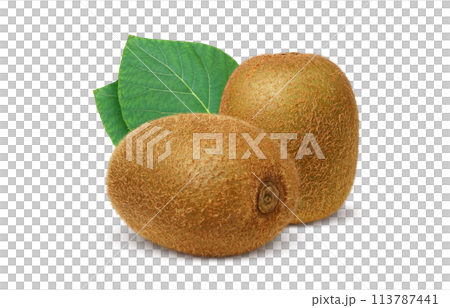 Kiwi fruit illustration realistic 113787441