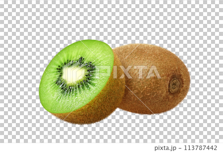 Kiwi fruit illustration realistic 113787442