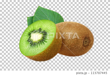 Kiwi fruit illustration realistic 113787445