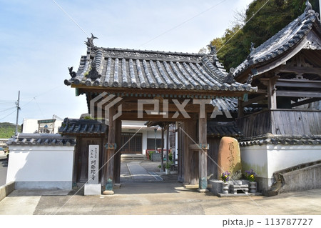 春の阿弥陀寺　和歌山 113787727