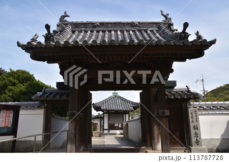 春の称念寺　和歌山 113787728