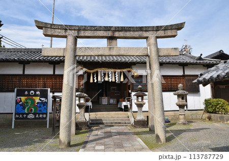 春の加太春日神社　和歌山 113787729