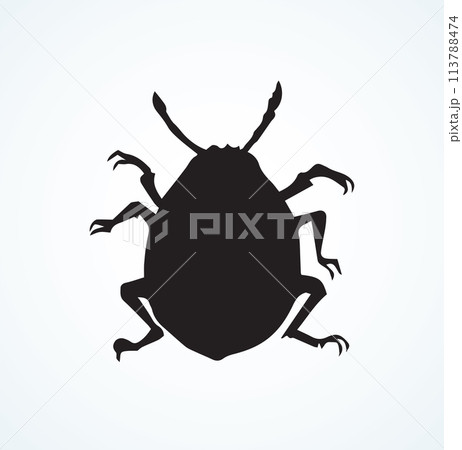 Colorado beetle. Vector drawing 113788474