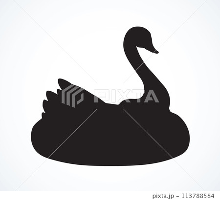 Swan. Attraction for swimming. Vector drawing Swan. Attraction for swimming. Vector drawing 113788584