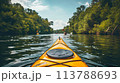 Kayaking on a serene river, surrounded by greenery under a clear blue sky, captured in mid-action shot 113788693