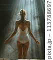 Individual sports focus, female gymnast performing on balance beam, concentration, gym lights spotlighting her 113788697