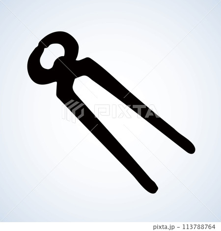 Starfish. Vector drawing Starfish. Vector drawing 113788764