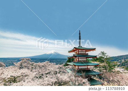 青空と富士山を背景にした満開の桜の花と赤い五重の塔。日本の観光イメージ 113788910