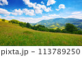 grassy meadows on the hills of ukrainian highlands. sustainable life in carpathian rural area 113789250
