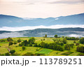 carpathian countryside scenery on a foggy morning in summer. mountainous landscape of ukraine with rural fields on the hills 113789251