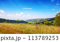 mountainous carpathian countryside scenery in summer. forested hills behid grassy alpine meadow beneath a blue sky with fluffy couds. summer vacations in highlands of ukraine 113789253
