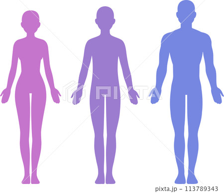 Male, female and unisex body silhouette Male, female and unisex body silhouette 113789343