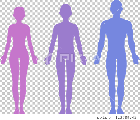Male, female and unisex body silhouette Male, female and unisex body silhouette 113789343