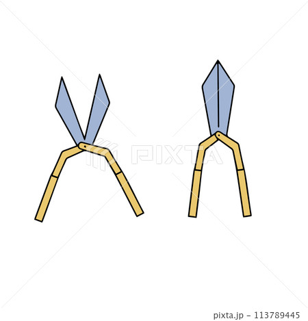Pruning scissors icon, gardening shears, secateurs or secateurs vector illustration, gardening scissors, branch pruning. Vector illustration in doodle style 113789445