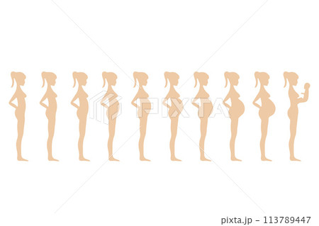 Stage pregnancy. Stage trimester pregnant woman, infographic growth fetus in belly mom before birth, timeline maternity body, baby breastfeeding milk vector illustration. Pregnancy trimester maternity 113789447