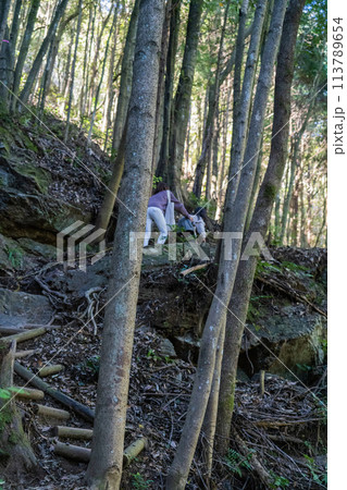 遠海山登山道 遠海山登山道 113789654