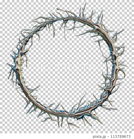 3D chrome thorn frame, render gothic metal circle border, y2k mercury futuristic fantasy wreath. 3D chrome thorn frame, render gothic metal circle border, y2k mercury futuristic fantasy wreath. 113789673