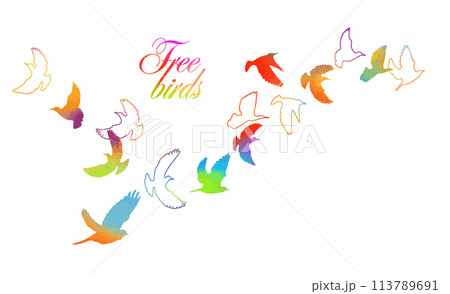 A flock of colored birds. Not AI, Vector illustration 113789691