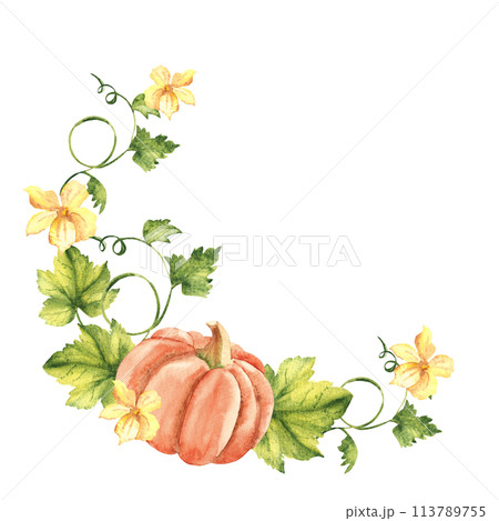 Pumpkin watercolor wreath. Hand drawn vegetable botanical illustration isolated on white background. Can be used for invitation and greeting cards, logos and textile design. Vintage stile. Pumpkin watercolor wreath. Hand drawn vegetable botanical illustration isolated on white background. Can be used for invitation and greeting cards, logos and textile design. Vintage stile. 113789755