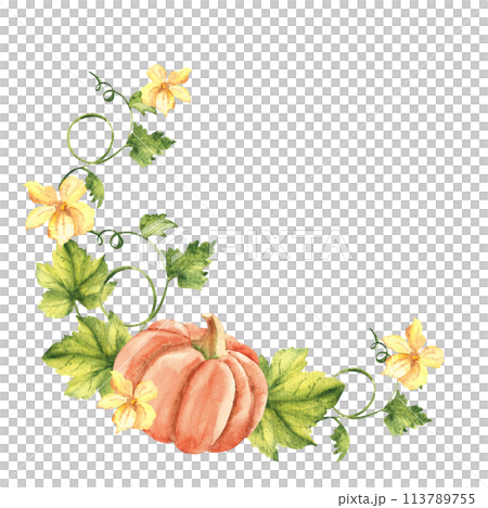 Pumpkin watercolor wreath. Hand drawn vegetable botanical illustration isolated on white background. Can be used for invitation and greeting cards, logos and textile design. Vintage stile. Pumpkin watercolor wreath. Hand drawn vegetable botanical illustration isolated on white background. Can be used for invitation and greeting cards, logos and textile design. Vintage stile. 113789755