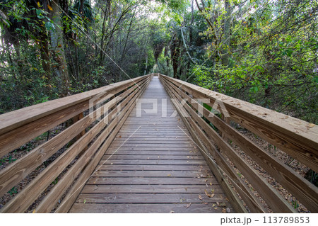 Boardwalk over constructed wetlands of Green Cay Nature Center in Boynton Beach. 113789853