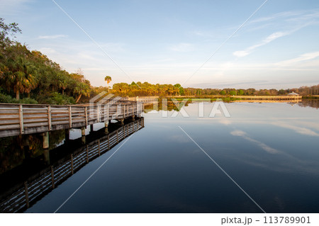 Boardwalk and sunrise cloudscape over wetlands of Green Cay Nature Center. 113789901
