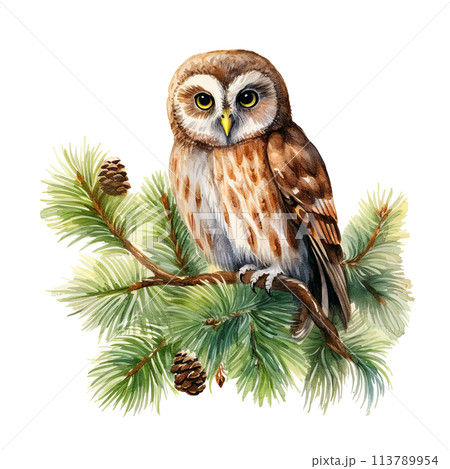 Owl Perched on Branch Watercolor Owl Perched on Branch Watercolor 113789954