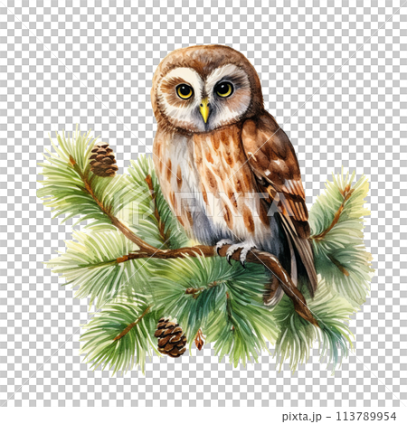 Owl Perched on Branch Watercolor Owl Perched on Branch Watercolor 113789954