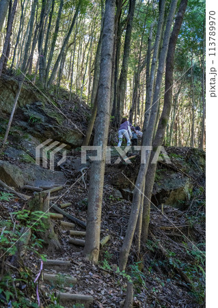 遠見山登山道 113789970