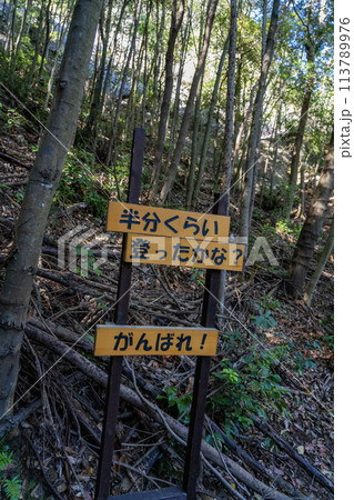 遠見山登山道 遠見山登山道 113789976