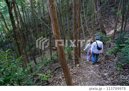 遠見山登山道 遠見山登山道 113789978