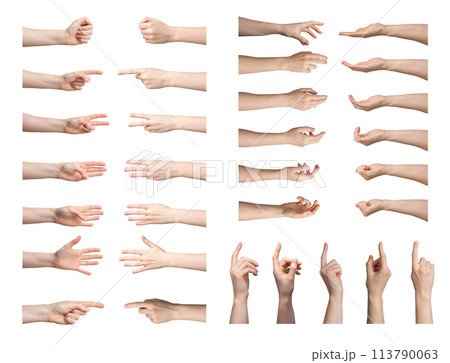 female hand gesture set. Showing empty palm, fingers, wrist, arm. Business concept, isolated icon female hand gesture set. Showing empty palm, fingers, wrist, arm. Business concept, isolated icon 113790063