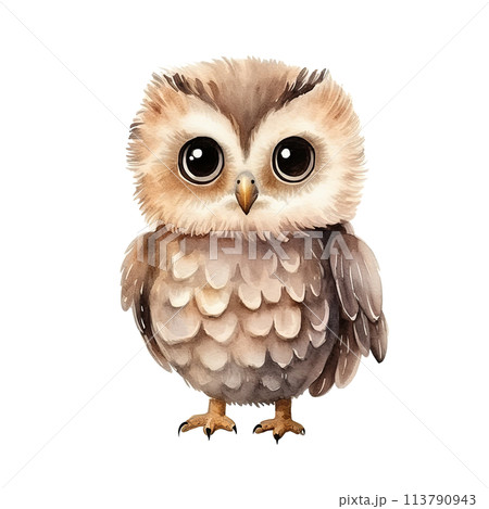 原画 アート 絵画 画家 フクロウ 梟 鳥 雛鳥 小鳥 縁起物 動物