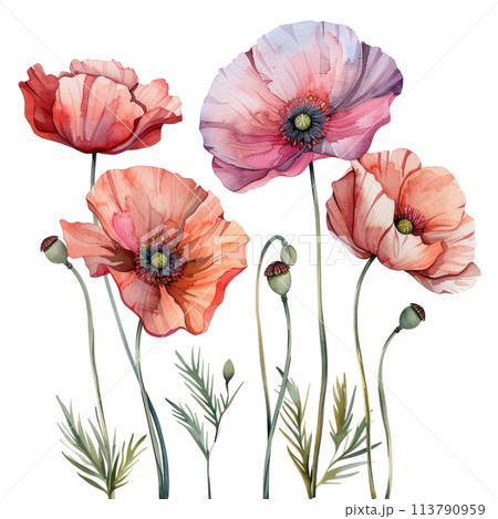 Watercolor border with isolated poppy flowers, vibrant red petals on a delicate backdrop 113790959