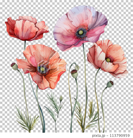 Watercolor border with isolated poppy flowers, vibrant red petals on a delicate backdrop 113790959