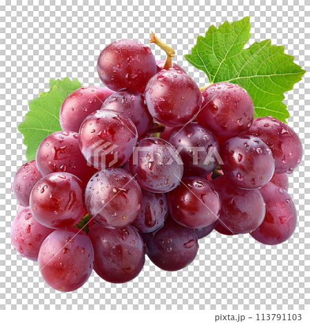 Fresh Grapes Covered in Water Droplets 113791103