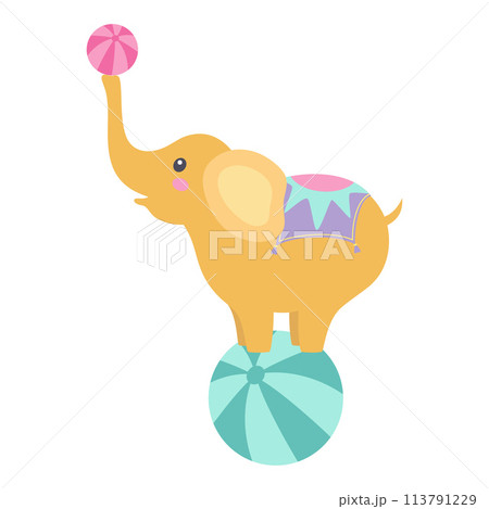 circus elephant with ball circus elephant with ball 113791229