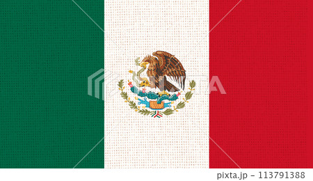 Flag of Mexico. Mexican flag on fabric surface. Fabric Texture 113791388