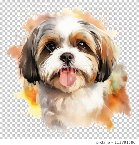 Brown and White Dog Sticking Out Tongue 113791590
