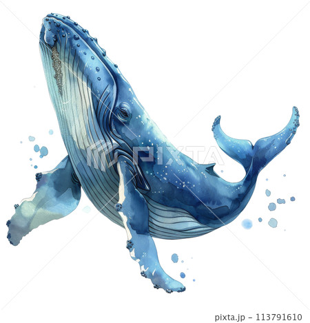 Blue Whale With Bubbles Drawing Blue Whale With Bubbles Drawing 113791610